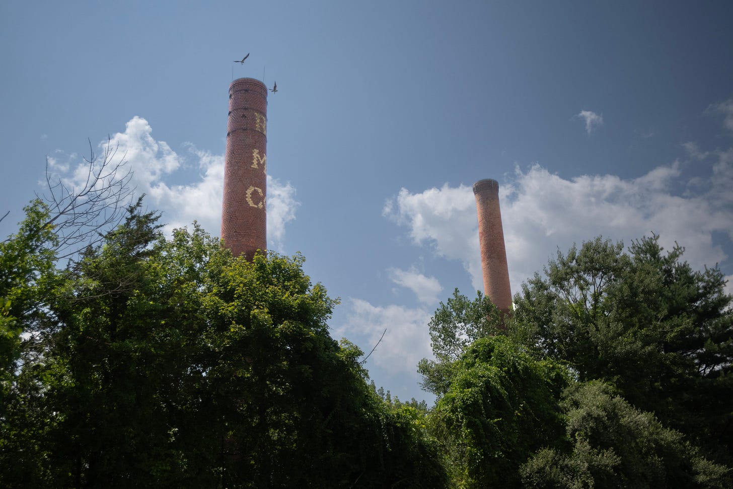 Two surviving smokestacks rise above the trees